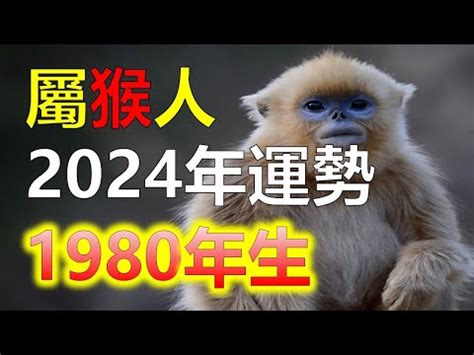 81年次屬猴|民國81年是西元幾年？民國81年是什麼生肖？民國81年幾歲？